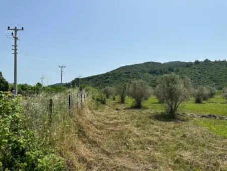 1644 M2, 250 M2 Construction Permit Land For Sale In Ortaca Fevziye