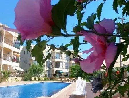 A Bargain Fully Furnished Apartment For Sale In Dalaman