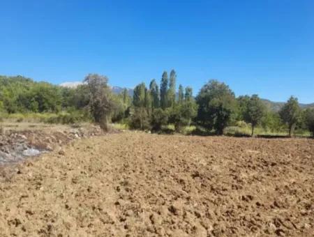 Denizli Beyağaç Sazak 317 M2 Detached Land With Title Deed Zoning For Sale