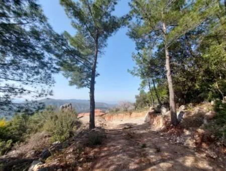 1 300 M2 63 M2 Zoned Land For Sale In Gocek Gökçeovacik