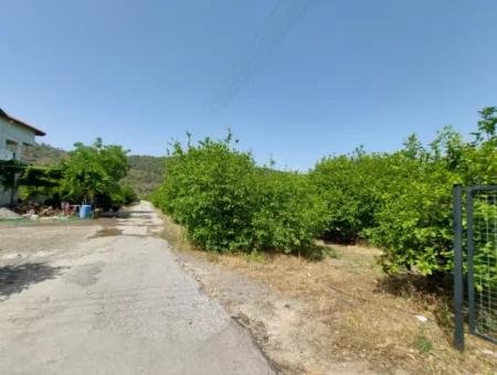 Muğla Ortaca Ekşiliyurtta Residential Zoned Detached 2 000M2 Land For Sale