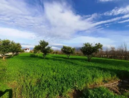 1500 M2 Detached Land In Nature For Sale In Ortaca Okçular