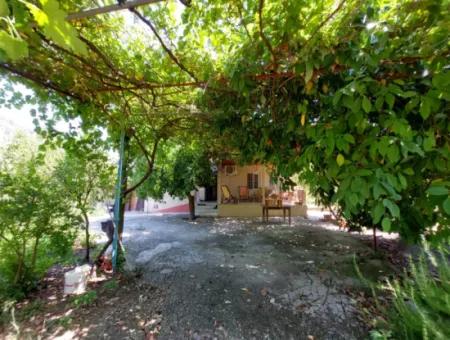 Single-Storey Detached 2 1 Village House For Rent On 4 600 M2 Land In Muğla Ortaca Ekşiliyurt