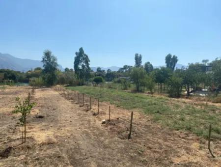 Köyceğiz Çandır Dalyan Canal Front 1000 M2 Land For Sale