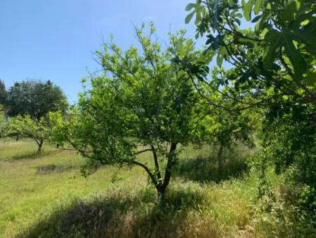 1120 M2 Land For Sale In Ortaca Akıncı