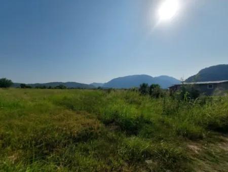 Ortaca Mergenlide Detached Title Deed 11.000 M2 Bargain Land For Emergency Sale