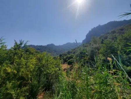 Muğla Dalyanda Mountain Zero, Waterside 10 500 M2 Pomegranate Garden For Sale