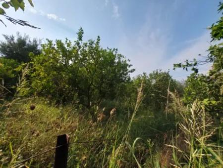 1.000 M2 Land For Sale In Ortaca Archers