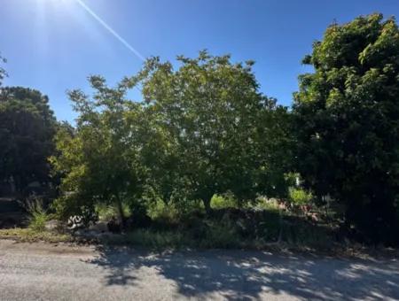 1129 M2 Zoned Land For Sale In Ortaca Dalaklı