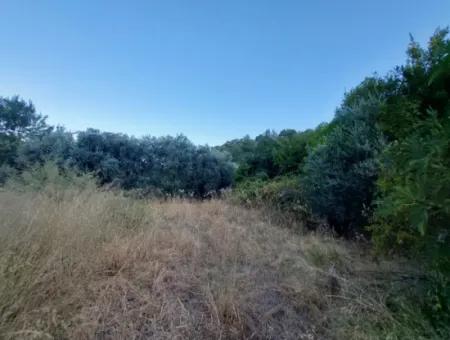 700 M2 Land With Lake View Construction Right In Köyceğiz, Yeşilköy For Emergency Sale