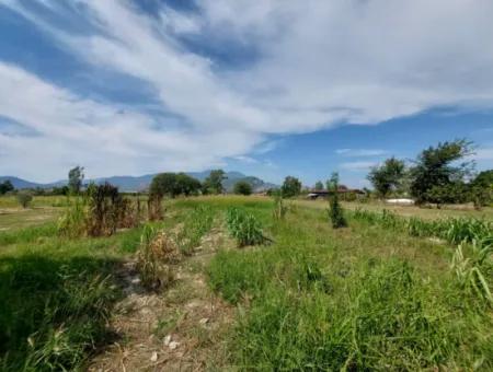 Mountainfront Fertile 1.680 M2 Land For Sale In Dalyan, Muğla