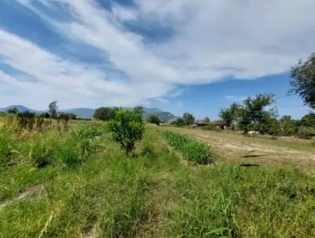 Mountainfront Fertile 1.680 M2 Land For Sale In Dalyan, Muğla