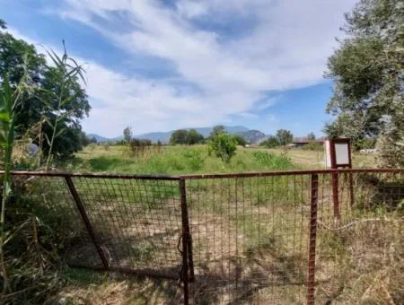 Mountainfront Fertile 1.680 M2 Land For Sale In Dalyan, Muğla