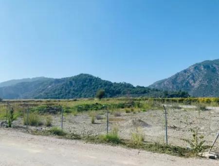 6000 M2 Corner Parcel Field For Sale In Ortaca Güzelyurt