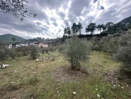 For Sale In Fethiye Gökçeovacıkta 1709 M2