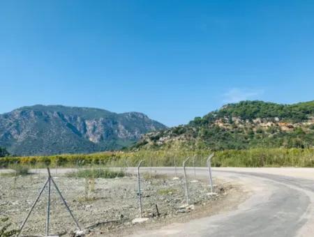 Fields Suitable For Cooperative In Ortaca Güzelyurt Are For Sale