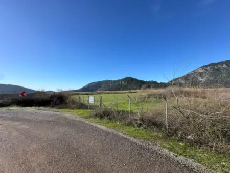 Fields Suitable For Cooperative In Ortaca Güzelyurt Are For Sale