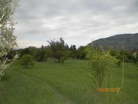 Land For Sale In Dalyan, Property For Sale Bargain