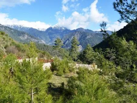 Plots Of Land For Sale In Fethiye Kizilbel