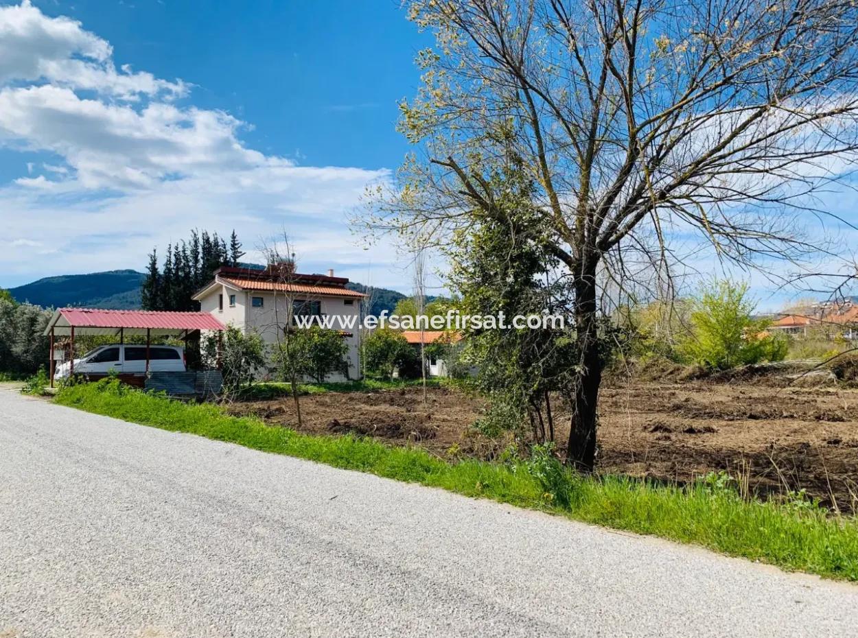 Dalyan Okçularda 734 M2 2 Parsel Arsa Satılık