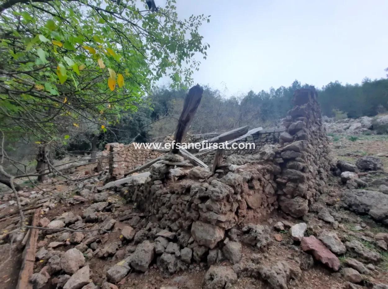 Muğla Dalyan Gökbelde Doğa İçinde 24.000 M2 Müstakil Arazi Satılık