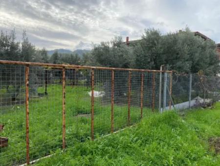 Muğla Ortaca Karaburun Mah 600 M2 Arsa Satılık