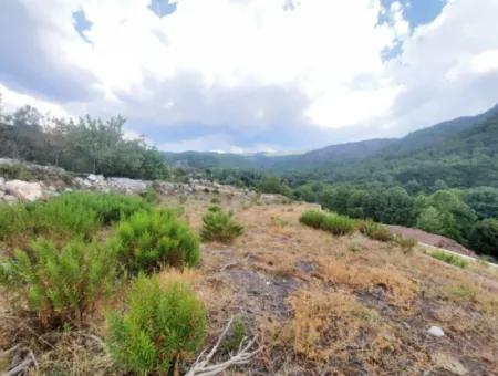 Muğla Köyceğiz Ağla, Yaylada 1 758 M2, İmarlı Arsa Satılık