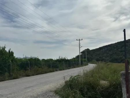 Ortaca Fevziye De 1644 M2, 250 M2 İnşaat İzinli Arsa Satılık