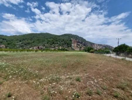 Köyceğiz Çandırda  Müstakil Tapulu 33.800 M2 Tarla Satılık