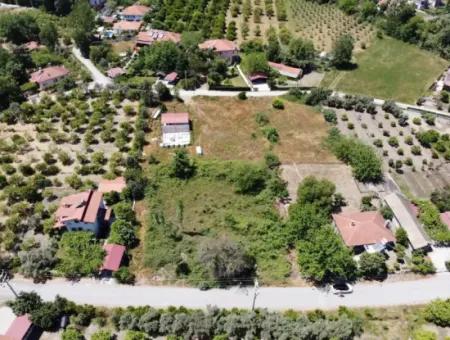 Dalyan Okçularda 734 M2 2 Parsel Arsa Satılık