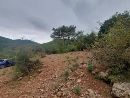 Muğla Dalyan Gökbelde Doğa İçinde 24.000 M2 Müstakil Arazi Satılık